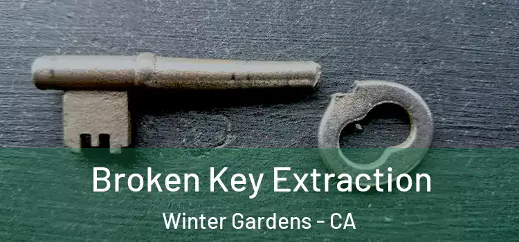  Broken Key Extraction Winter Gardens - CA