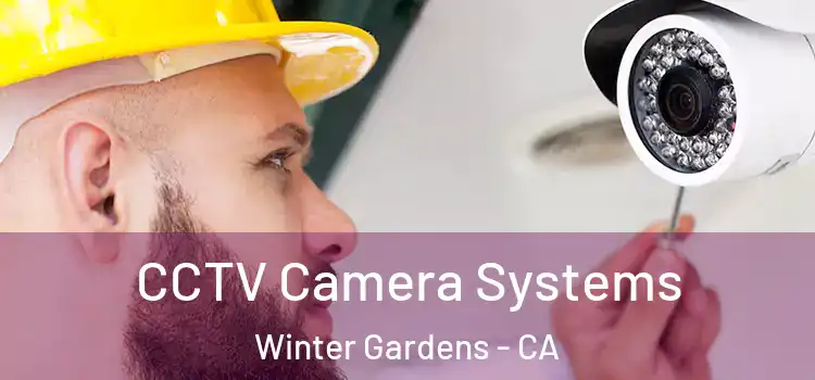  CCTV Camera Systems Winter Gardens - CA