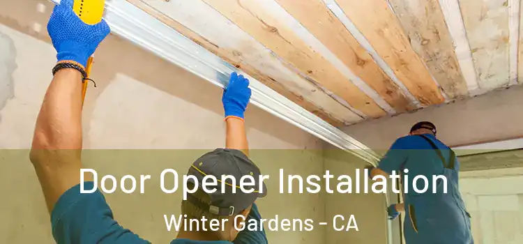 Door Opener Installation Winter Gardens - CA