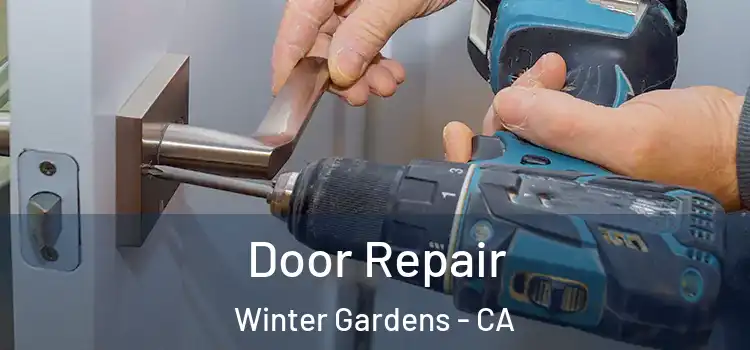 Door Repair Winter Gardens - CA