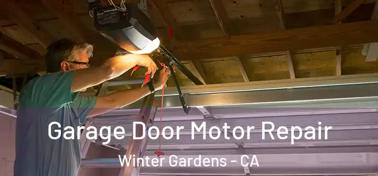  Garage Door Motor Repair Winter Gardens - CA