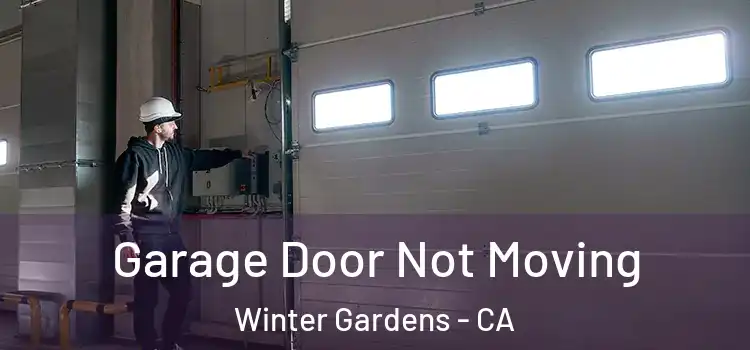  Garage Door Not Moving Winter Gardens - CA