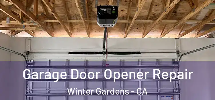  Garage Door Opener Repair Winter Gardens - CA