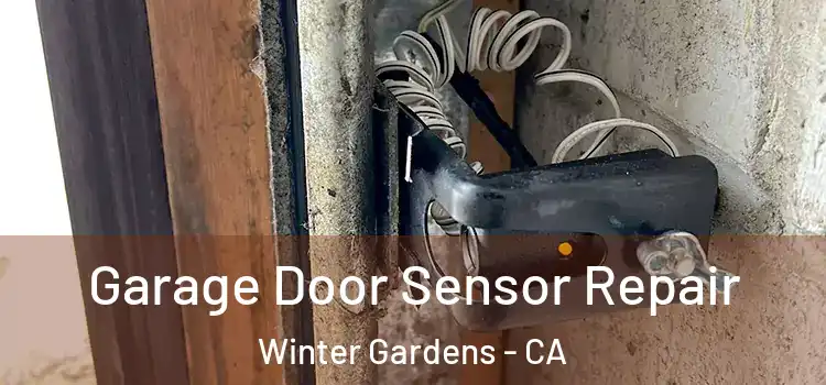 Garage Door Sensor Repair Winter Gardens - CA
