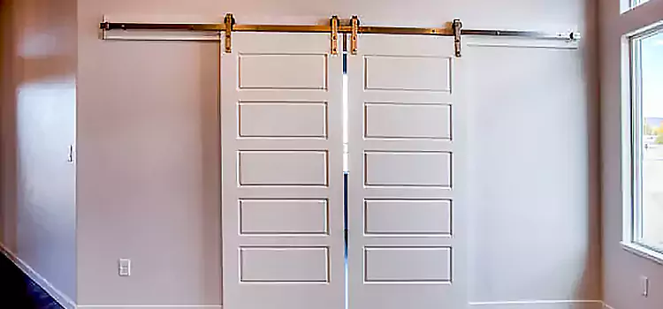 Glass Barn Door with Installation Hardware Kit Winter Gardens