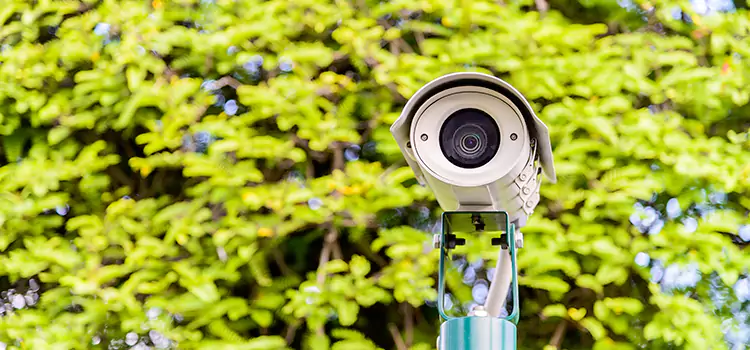 Advanced Surveillance Solutions for Every Need in Winter Gardens