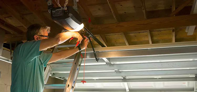 Garage Door Opener Sales and Installation Winter Gardens