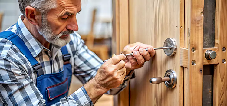 Mortise Replacement Lock Winter Gardens