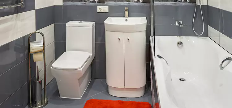 Hansgrohe Shaving Mirror Winter Gardens