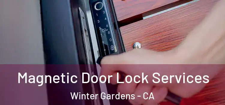 Magnetic Door Lock Services Winter Gardens - CA