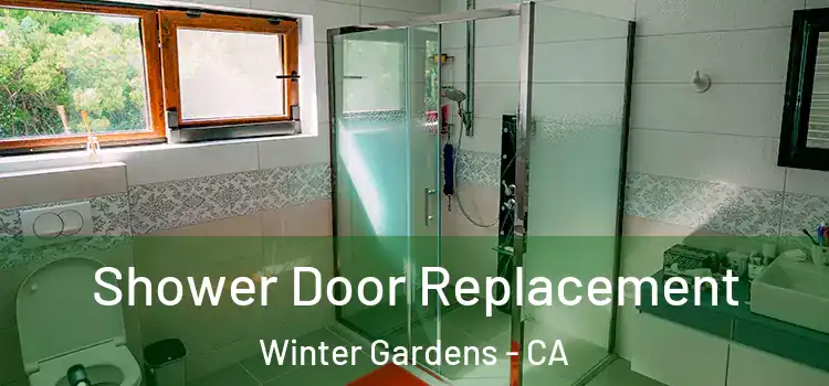 Shower Door Replacement Winter Gardens - CA
